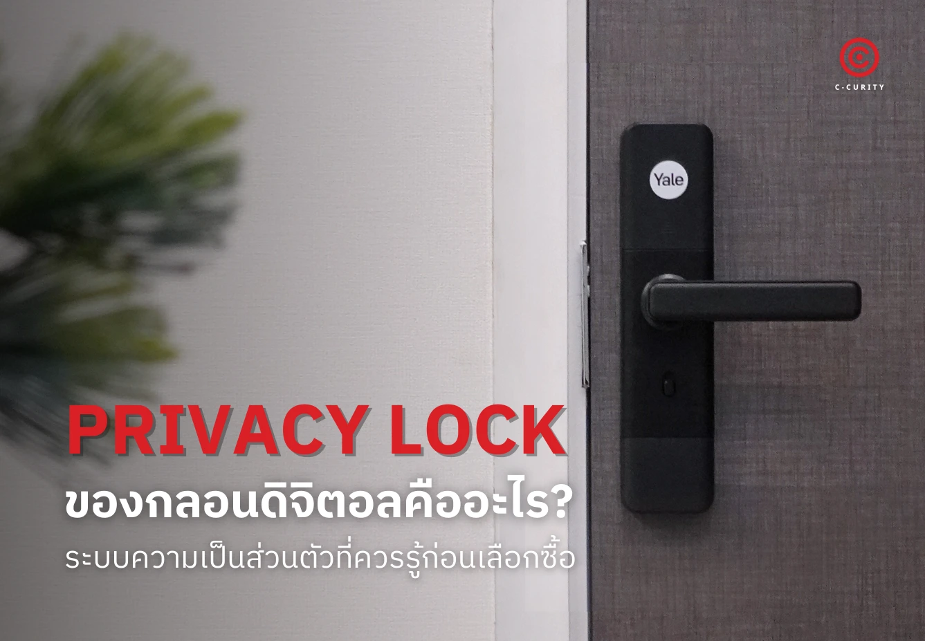 Privacy Lock Digital Door Lock กลอนดิจิตอลที่มีล็อกจากข้างใน C-CURITY DMB538 และ Yale YDEM200NxT